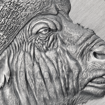 African Buffalo - Expresions of Wildlife 2000 Francs CFA 2oz Republic of Cameroon 2022