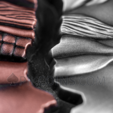 Alter Ego - Two Sides of Human Nature 2000 Francs CFA 2oz Republic of Cameroon 2022