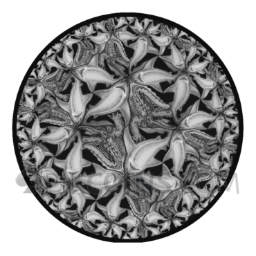 Water and Earth - Algorithm 5$ 2oz Niue 2022