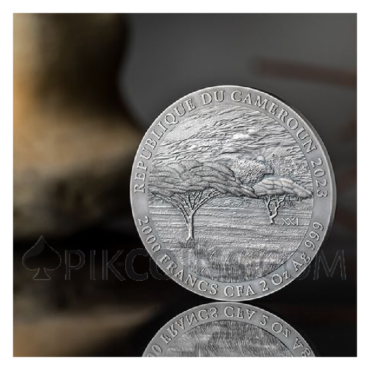 Black Rhino - Expressions of Wildlife 2000 Francs CFA 2oz Republic of Cameroon 2023