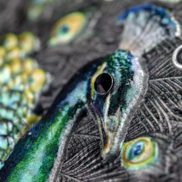 Peacock - Amazing Animals 7$ 3oz Niue 2022