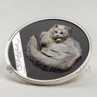 Under Cat - Underlook 5$ 1oz Cook Islands 2024