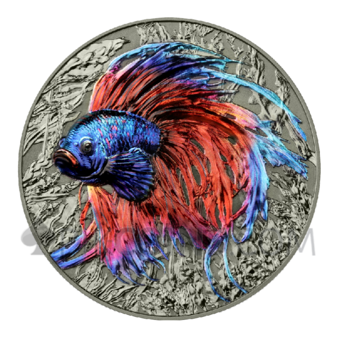 Betta Fish - Representatives Of The Spieces 5$ 2oz Niue 2024