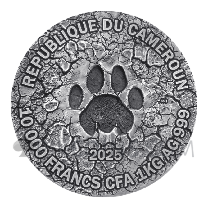 The Grand Hunting - Circle Of Life 1kg 10 000 Francs CFA Cameroon 2025 - Image 2