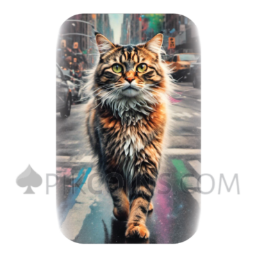 Cats In The City - 3 Cast Bar Set 3x100g