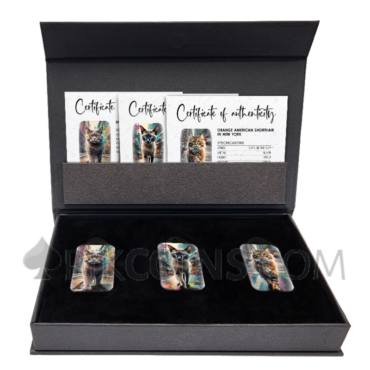 Cats In The City - 3 Cast Bar Set 3x100g