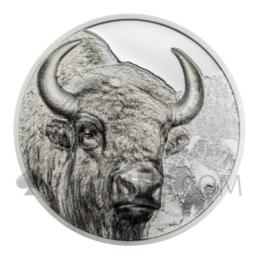 Bison - Wild Mongolia 1oz 500 Togrog Mongolia 2025
