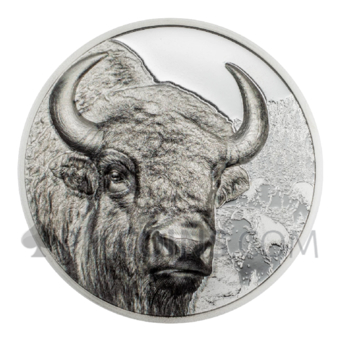 Bison - Wild Mongolia 1oz 500 Togrog Mongolia 2025 - Image 2