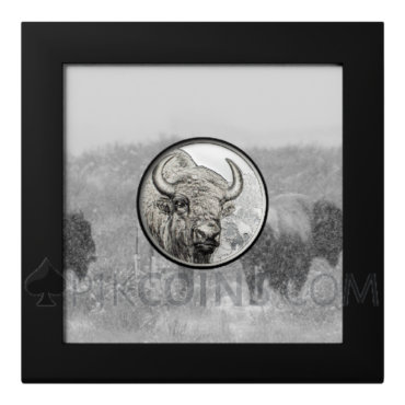 Bison - Wild Mongolia 1oz 500 Togrog Mongolia 2025