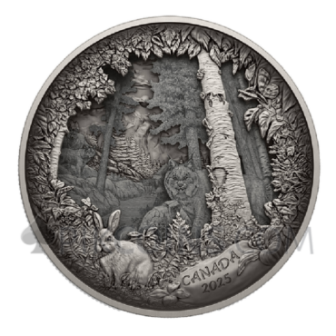 Predator Or Pray In Shadow 26oz 175$ Canada 2025