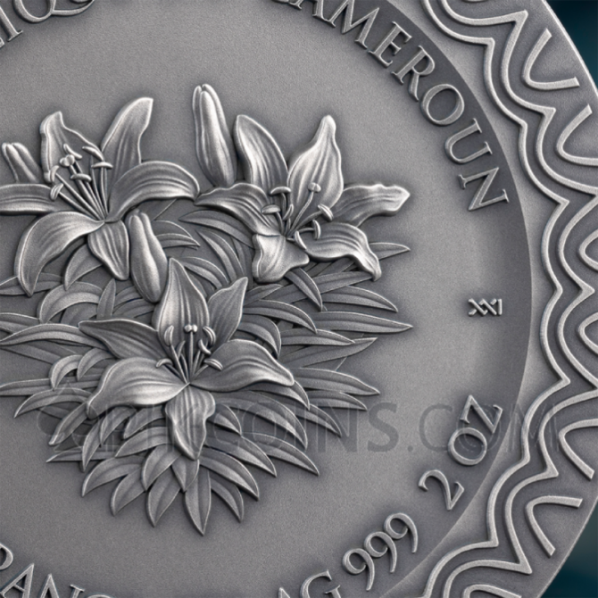 Aurora - Celestial Beauty 2oz 2000 Francs CFA Cameroon 2025 - Image 7
