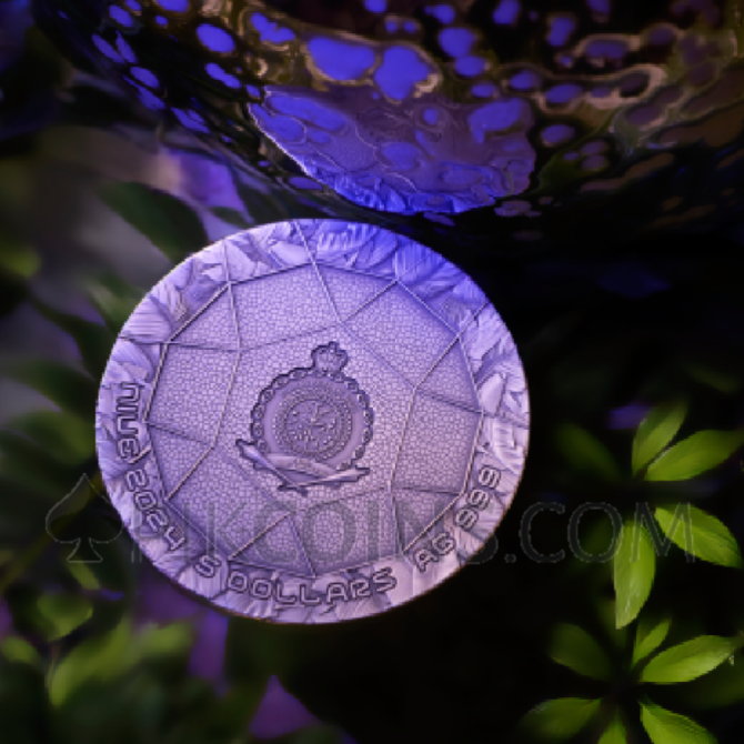 Solarpunk - The Punk Universe 5$ 2oz Niue 2024 - Image 6