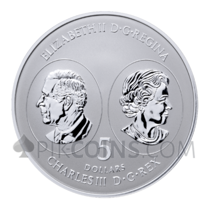 Maple Leaf 5 Coin Set 1$ - 5$ 1/20oz - 1oz Canada 2026 - Image 2