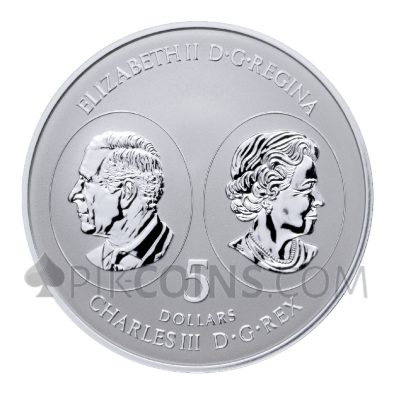 Maple Leaf 5 Coin Set 1$ - 5$ 1/20oz - 1oz Canada 2026 - Image 2