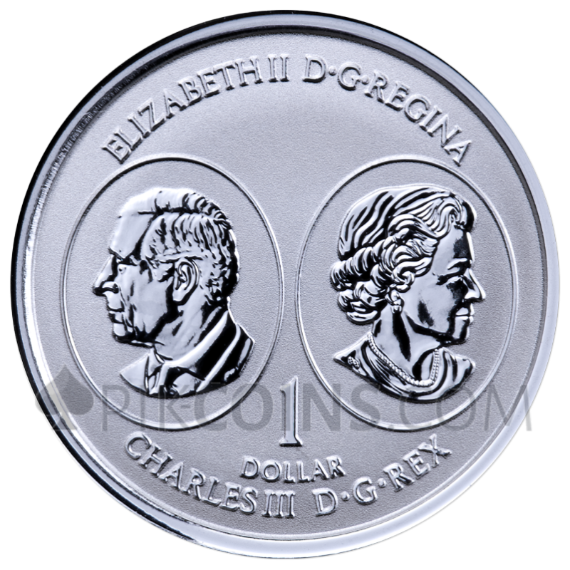Maple Leaf 5 Coin Set 1$ - 5$ 1/20oz - 1oz Canada 2026 - Image 5