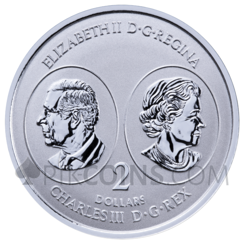 Maple Leaf 5 Coin Set 1$ - 5$ 1/20oz - 1oz Canada 2026 - Image 7