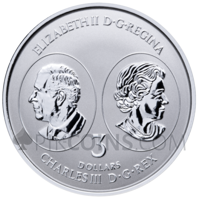 Maple Leaf 5 Coin Set 1$ - 5$ 1/20oz - 1oz Canada 2026 - Image 9