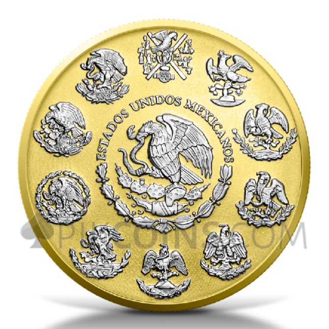 Libertad – Yellow Gold & White Rhodium 1 Onza 1oz Mexico 2024 - Image 2