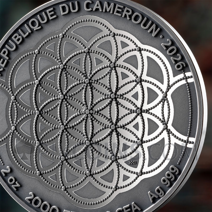 Berlin Bear - Patterns of the World 2000 Francs CFA 2oz Cameroon 2026 - Image 5