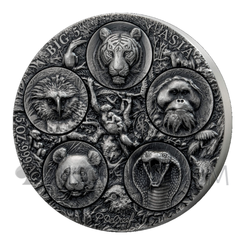 Big Five Asia - Completer Coin 5000 Francs CFA 5oz Ivory Coast 2026