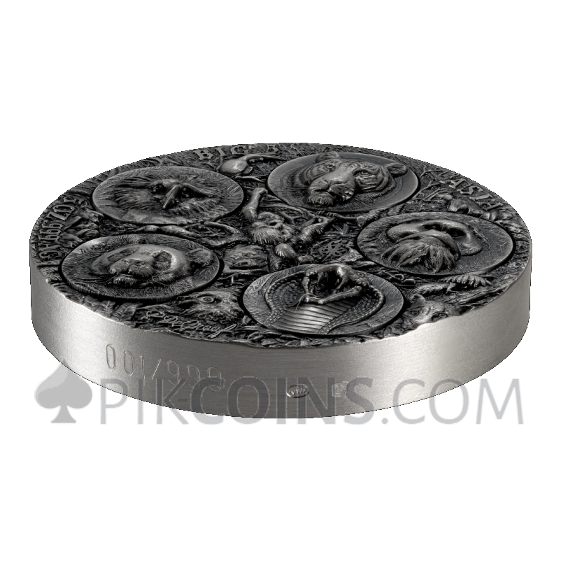 Big Five Asia - Completer Coin 5000 Francs CFA 5oz Ivory Coast 2026 - Image 3