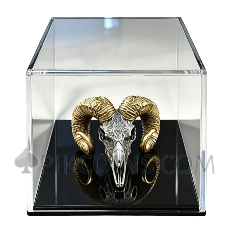 The Sovereign - Carved Skull 3D 2000 Francs CFA 2oz Cameroon 2026 - Image 4
