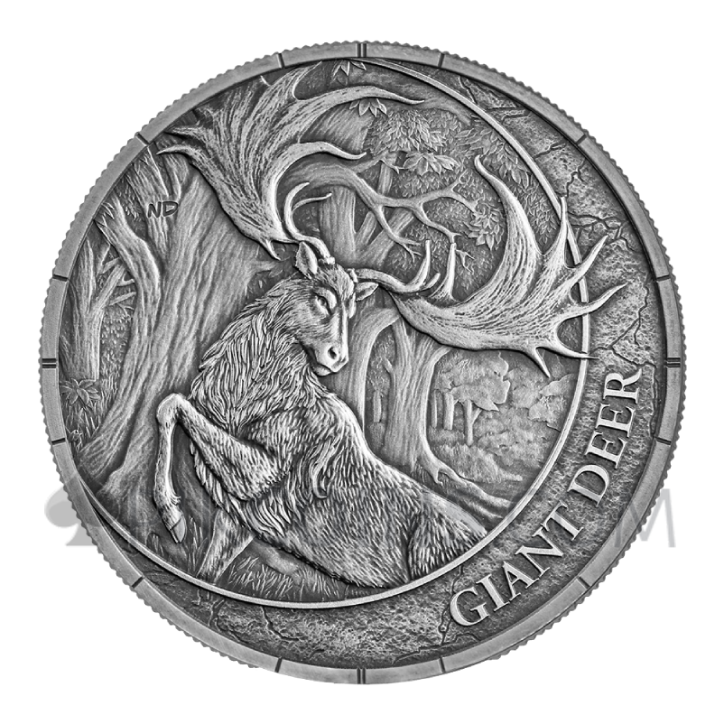 Giant Deer Oblivion - Megafauna 20$ 1oz Liberia 2026 - Image 2